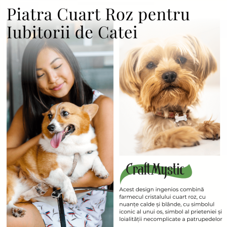 Figurina in Forma de Os din Cristale Naturale - Ametist, Ochi de Tigru, Obsidian si Cuart Roz, 30mm [20]