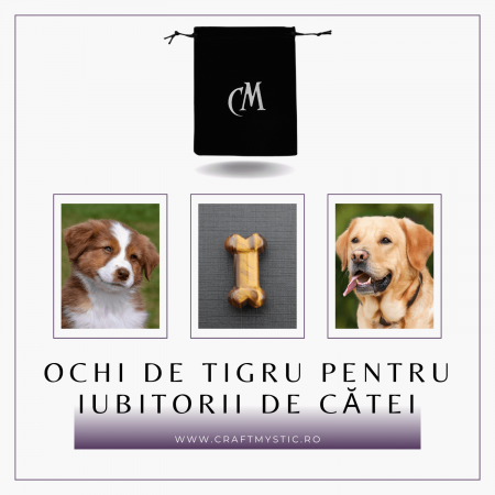 Figurina in Forma de Os din Cristale Naturale - Ametist, Ochi de Tigru, Obsidian si Cuart Roz, 30mm [10]