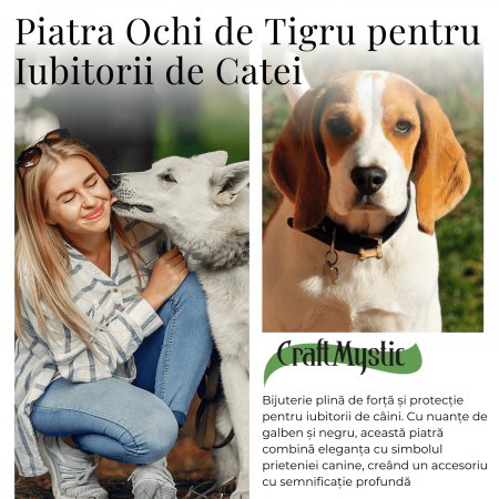 Figurina in Forma de Os din Cristale Naturale - Ametist, Ochi de Tigru, Obsidian si Cuart Roz, 30mm [12]