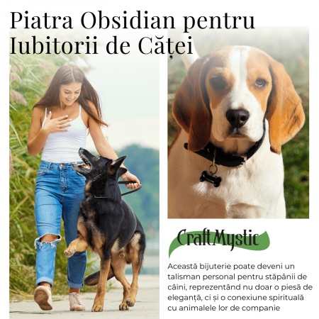 Figurina in Forma de Os din Cristale Naturale - Ametist, Ochi de Tigru, Obsidian si Cuart Roz, 30mm [28]