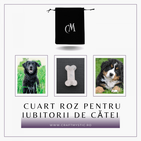 Figurina in Forma de Os din Cristale Naturale - Ametist, Ochi de Tigru, Obsidian si Cuart Roz, 30mm [18]