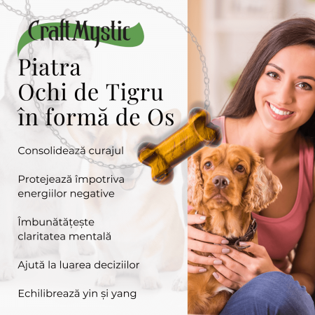 Figurina in Forma de Os din Cristale Naturale - Ametist, Ochi de Tigru, Obsidian si Cuart Roz, 30mm [15]