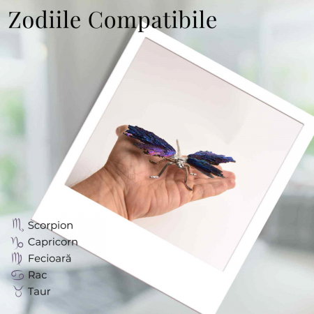 Amuleta Transformare - Libelula Turmalina Neagra Curcubeu [3]