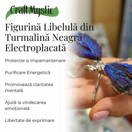 Amuleta Transformare - Libelula Turmalina Neagra Curcubeu [2]