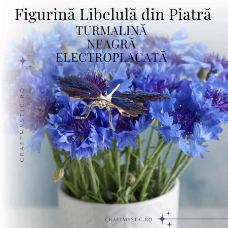 Amuleta Transformare - Libelula Turmalina Neagra Curcubeu [6]