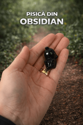 Pisicuta Alintata din Obsidian Negru – Talisman de Protectie si Intuitie [1]