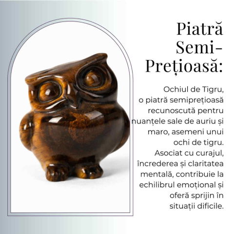 Bufnita Intelepciunii din Ochi de Tigru – Claritate Mentala si Protectie Spirituala [6]