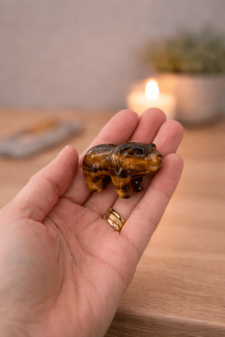 Urs Protector din Ochi de Tigru – Forta Interioara si Stabilitate Energetica [9]