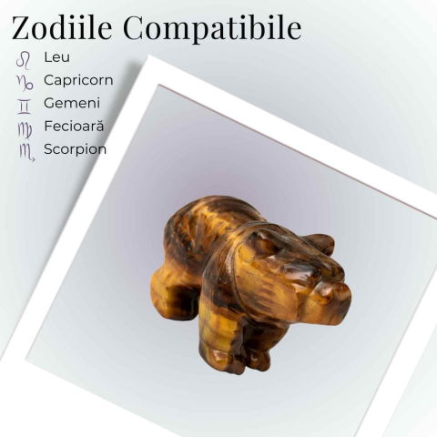 Urs Protector din Ochi de Tigru – Forta Interioara si Stabilitate Energetica [4]