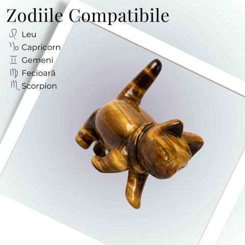 Figurina Pisica din Ochi de Tigru – Curaj, Protectie si Claritate Interioara [4]