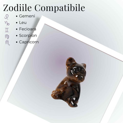 Catel protector din Ochi de Tigru – Curaj, Loialitate si Energie de Protectie [3]