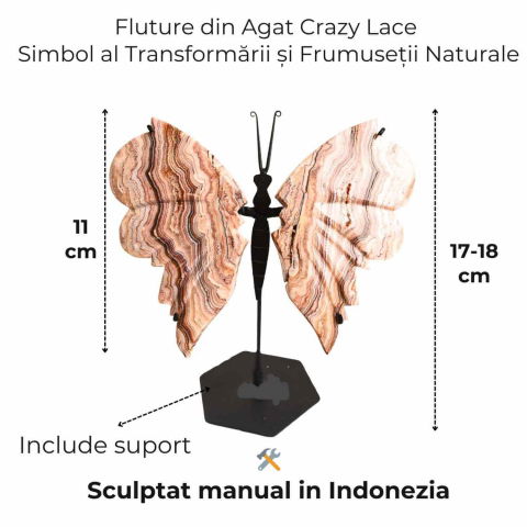 Fluture cu aripi din Crazy Lace Agat – Simbol al transformarii si frumusetii naturale [1]