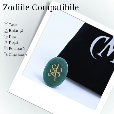 Moneda Zibu din Jad verde - Prosperitate si Noroc [3]