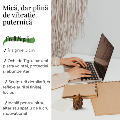 Pisicuta prosperitatii – Ochi de Tigru pentru Succes, Claritate si Protectie [3]