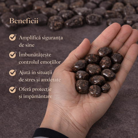 Bronzitul – piatra care aduce stabilitate interioara si curaj linistit in pasii de zi cu zi [2]