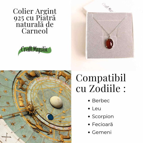 Vitalitate si Curaj Zilnic – Colier Oval cu Carneol si Argint 925 [3]