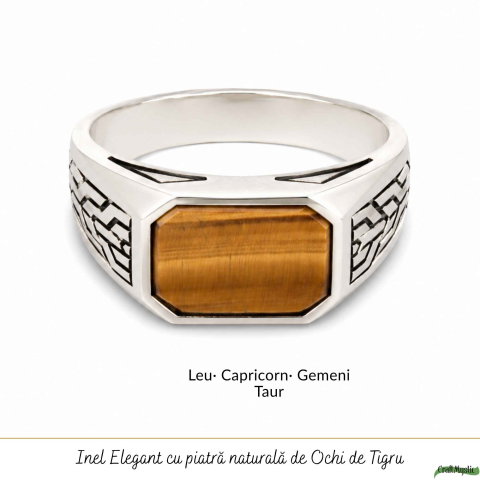 Inel Barbatesc Argint 925 cu Ochi de Tigru Dreptunghi – Protectie si Incredere [4]
