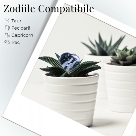 Inimioara din Agat Muschi 50-55mm - Armonie si Vindecare [3]