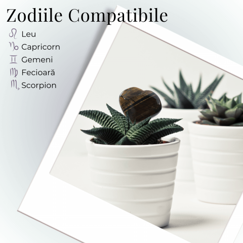 Inima Sculptata Manual de 30mm din Ochi de Tigru - Protectie si Curaj [6]