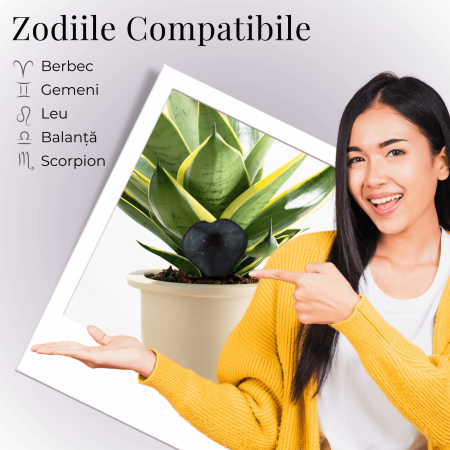 Inima Sculptata Manual de 50mm din Shungit Natural [4]