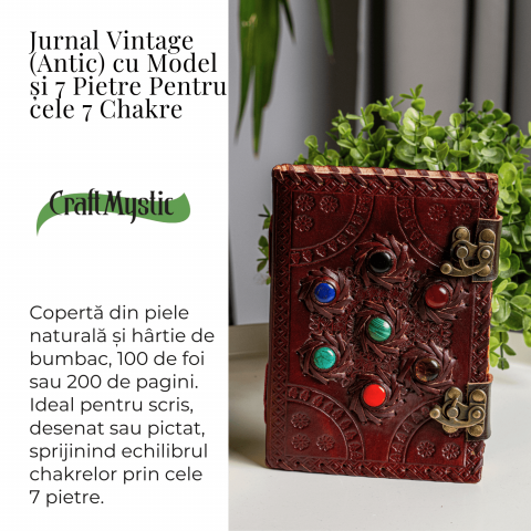Jurnal Vintage Visiniu cu Cele 7 Pietre Chakre [3]