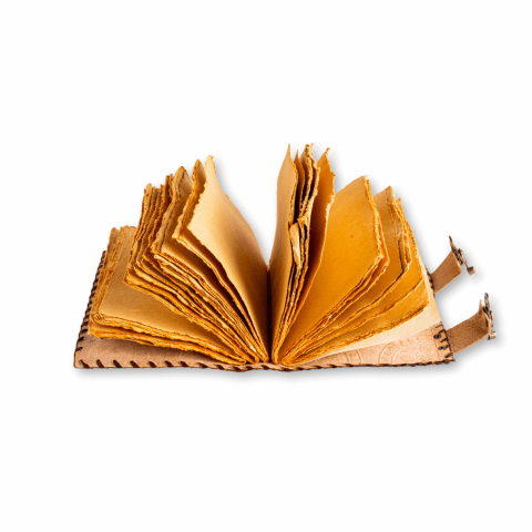 Jurnal Vintage Visiniu cu Cele 7 Pietre Chakre [6]