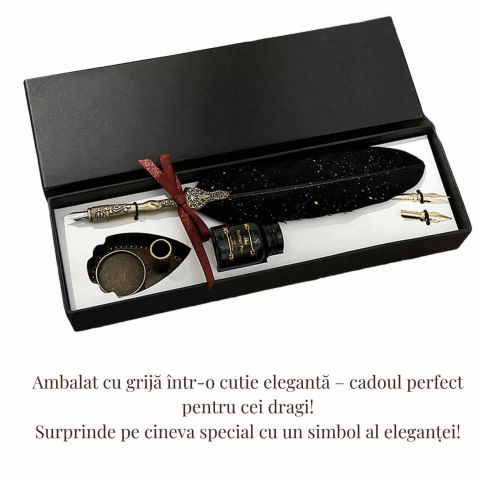 Set Stilou cu Pana - Caligrafie eleganta, cadoul perfect pentru orice ocazie [2]