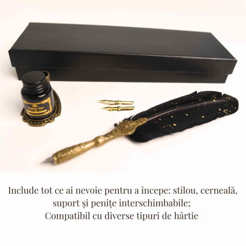 Set Stilou cu Pana - Caligrafie eleganta, cadoul perfect pentru orice ocazie [3]