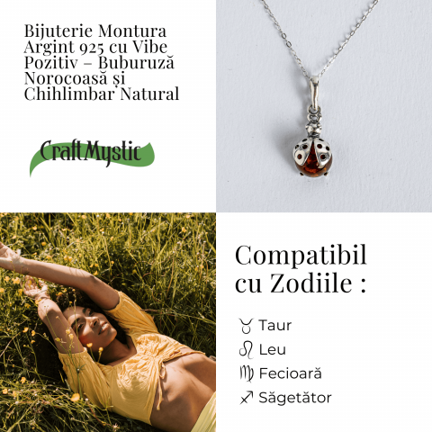 Colier Buburuza cu Chihlimbar si Lant Argint 925 [3]