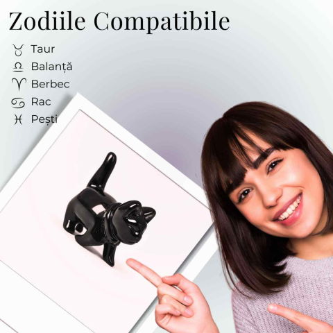 Figurina Pisica din Obsidian Negru – Protectie, Intuitie si Eleganta Mystica [3]