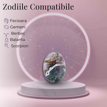 Piatra de Buzunar din Agat Muschi Druzy Natural - Promoveaza Vindecarea și Echilibrul [4]