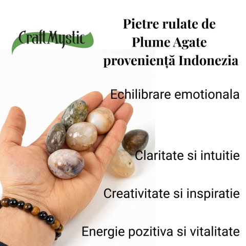 Piatra Naturala Plume Agate din Indonezia – Claritate, Echilibru si Armonie Interioara [1]