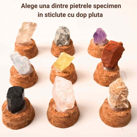 Pietre Brute Specimen 2-3 cm in Sticluta cu Dop de Pluta [2]