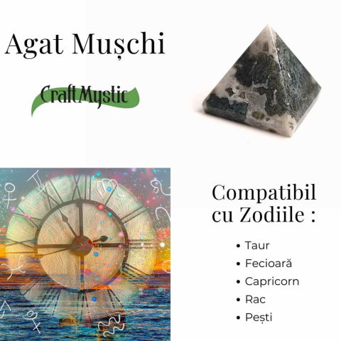 Piramida Moss Agate 55-60 mm - Echilibru Energetic si Vindecare Naturala [2]