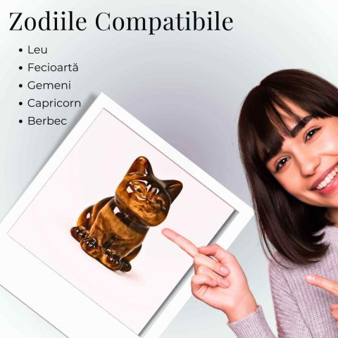 Figurina Pisica din Ochi de Tigru – Protectie, Curaj si Incredere Personala [3]