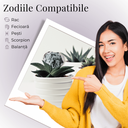 Inima Sculptata Manual de 50mm din Piatra Lunii Curcubeu Naturala [6]