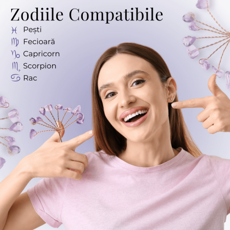 Ramurica DIY din Pietre Naturale Ametist (9 Pietricele) [6]