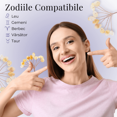 Ramurica DIY din Pietre Naturale Citrin (9 Pietricele) [1]