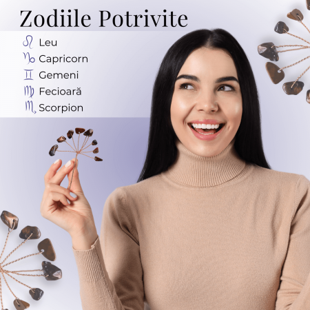 Ramurica Decorativă DIY cu Pietre Naturale Ochi de Tigru (9 Pietricele) [2]