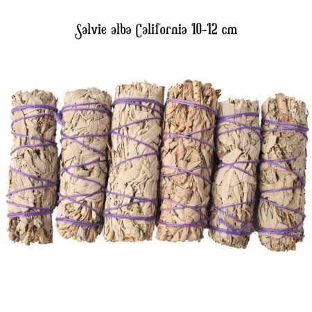 Buchet Salvie Alba California 10-12 cm - Curatare si Purificare Spirituala [2]
