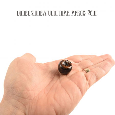 Set 7 mere din cristale naturale vindecatoare si pietre semipretioase Merele simbolizeaza pace, siguranta, sanatate si longevitate - pentru meditatie, spiritualitate, decor Feng Shui [6]