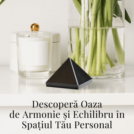 Piramida Sculptata Manual 60mm din Shungit Natural [5]