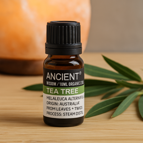 Ulei esential organic Tea Tree 10 ml (Melaleuca alternifolia) – purifiant pentru difuzor, ten si scalp (diluat) [2]