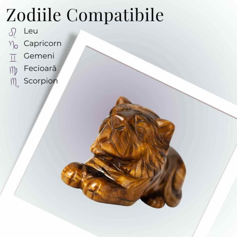 Leu Sacru din Ochi de Tigru – Putere Interioara si Protectie Energetica [4]