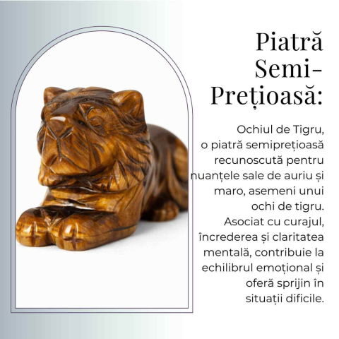 Leu Sacru din Ochi de Tigru – Putere Interioara si Protectie Energetica [6]