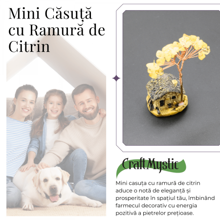 Mini Casa cu ramura din Citrin Natural , Arbore de Energie Spirituala Reiki, pentru Decoratiuni de Birou si Acasa [5]