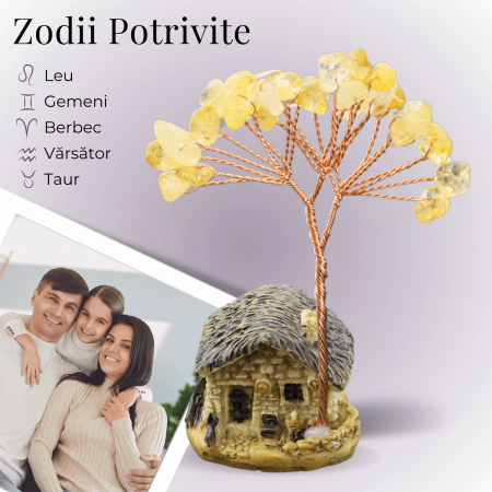 Mini Casa cu ramura din Citrin Natural , Arbore de Energie Spirituala Reiki, pentru Decoratiuni de Birou si Acasa [2]