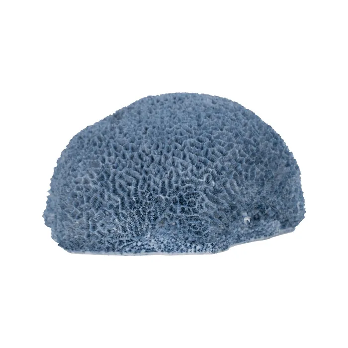 Canapele in Stil Boho - Burete marin rasina albastra|Decoratiuni marine sofisticate