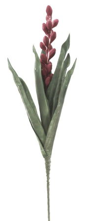 Obiecte decorative - Floare Aloe rosie artificiala CreativDeco - Accent vibrant pentru interior