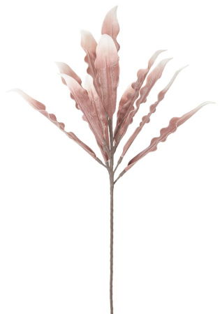 Obiecte decorative - Manunchi frunze alb-roz Aloe CreativDeco - Accent delicat pentru interior